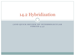 14.2 Hybridization