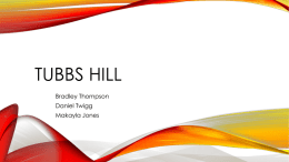 Tubbs Hill Group