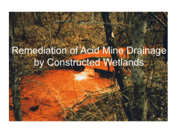 Remediation of Acid Mine Drainage by Constructed Wetlands