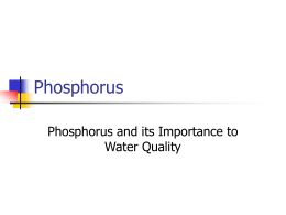 Phosphorus! - Northern Kentucky University