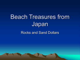 Beach Treasures from Japan