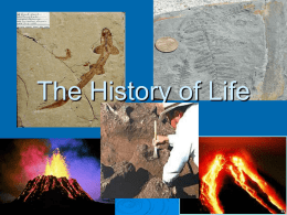 The History of Life - Kentucky Department of Education