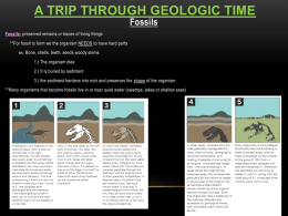 A trip through Geologic Time