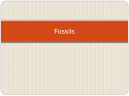 Geologic Time & Fossils