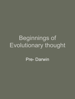 Beginnings of Evolutionary thought