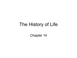 Ch. 14-Life History Lecture #1