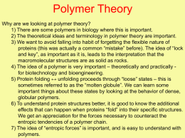 Polymer Theory