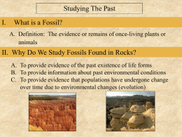 PowerPoint Presentation - How Do You Study the Past? (The Rock