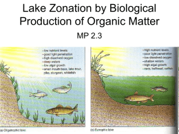 Lake Zonation by Biological Production