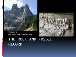 Fossil - Hansenscorner
