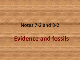 Notes 7-2 and 8-2