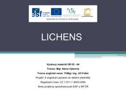 Lichens - GVI.cz