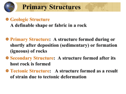 0_primary_structures