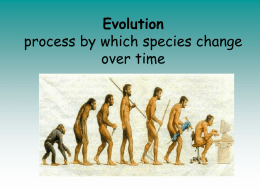 Evolution process by which species change over time