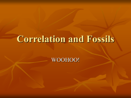 Correlation and Fossils Powerpoint