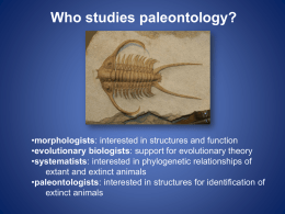 Biodiversity and Paleontology One: PowerPoint Presentation