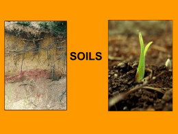 Where is soil?