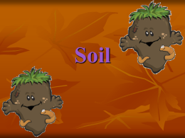 Soil - Parrott