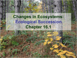 Ecological Succession - San Jacinto Unified School District | Haiku