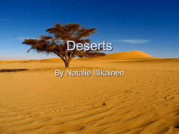 Deserts - bYTEBoss