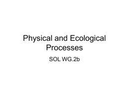 Physical Processes WG2b