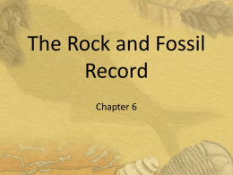 Rock and fossil record