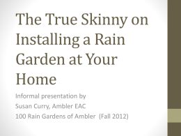 The True Skinny on Installing a Rain Garden