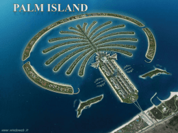 Palm Island_x