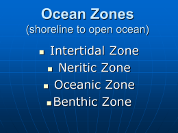 Ocean Zones - Beavercreek City Schools