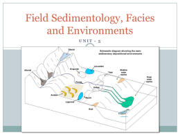 Field Sedimentology, Facies and Environments