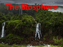 16 The Biosphere and Ecological Relationships