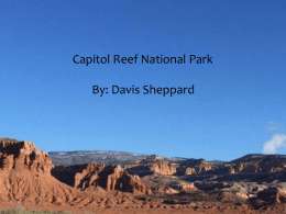 Capitol Reef National Park - Brown-Leach15