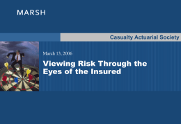 risk margin - Casualty Actuarial Society