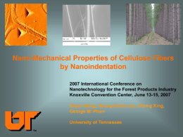 Nano-Mechanical Properties of Cellulose Fibers by Nanoindentation