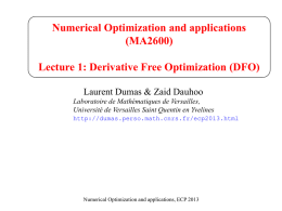 Numerical Optimization and applications (MA2600)