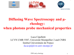 Diffusing Wave Spectroscopy and micro