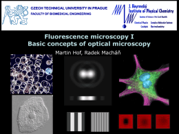 Microscopy Basics - UFCH JH