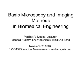 Microscopy Techniques for Biomaterials: A Primer