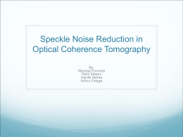 Speckle Noise Reduction in Optical Coherent Tomography