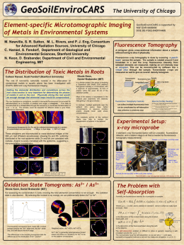 Fluorescence Tomography Poster