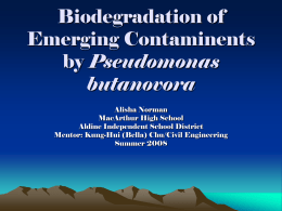 Biodegradation of Pharmaceuticals and Personal Care Products by