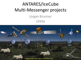 ANTARES/IceCube Multi-Messenger projects