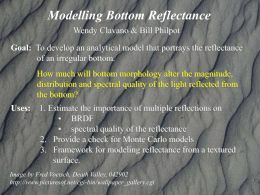 Modelling Bottom Reflectance