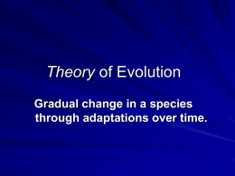 Evolution Power Point to Guided Notes