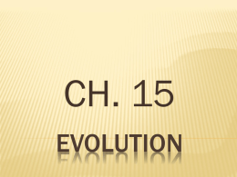 EVOLUTION - avon
