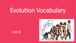 Evolution Vocabularyx