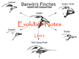 Evolution Notes