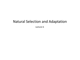 levels of selection