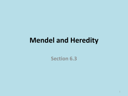 Section 6.3: Mendel and Heredity
