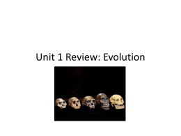 Unit 1 Review: Evolution